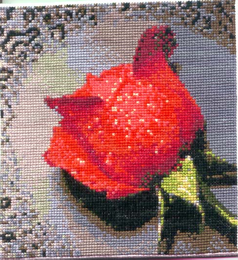 Роза. МОИ РАБОТЫ