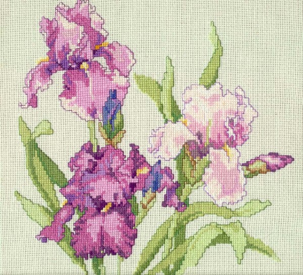 Ирисы. МОИ РАБОТЫ