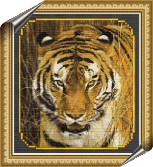 Tiger. 
