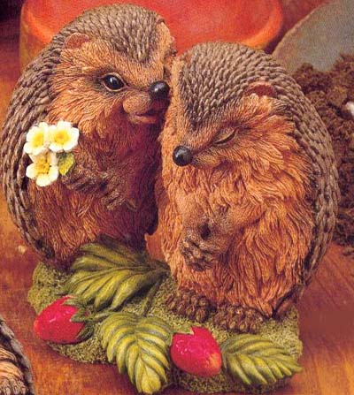 Мои Ежики (My hedgies)