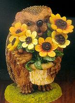 Мои Ежики (My hedgies)