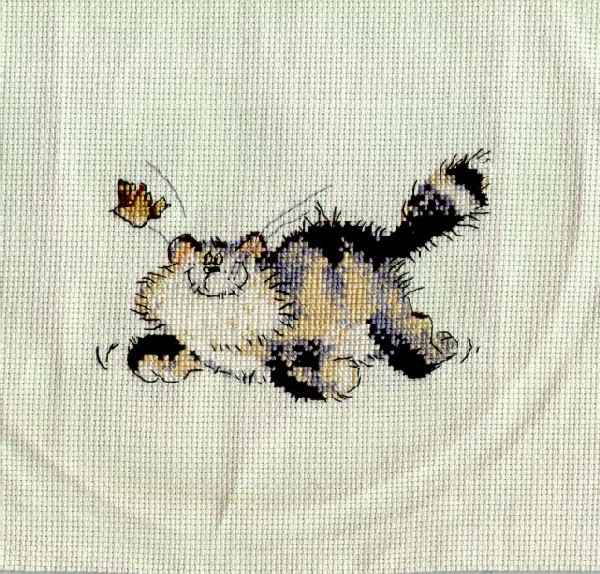 Кот. МОИ РАБОТЫ