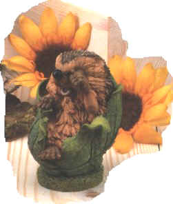 Мои Ежики (My hedgies)