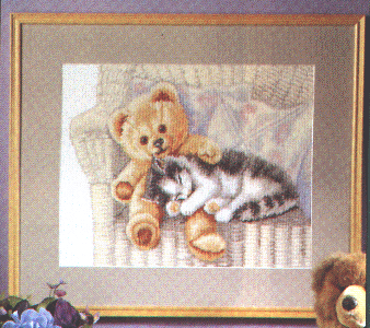 kitten and teddy. Фотки с удаленных рег