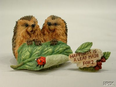 Мои Ежики (My hedgies)