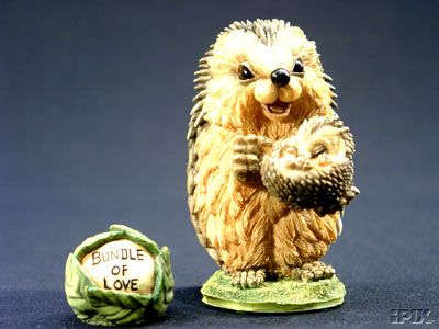 Мои Ежики (My hedgies)