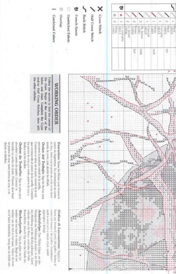 dh.aguila y luna p2. Aguila