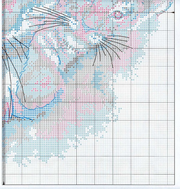 dc.tigre bebe p1. Tigre Bebe