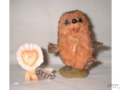 Мои Ежики (My hedgies)