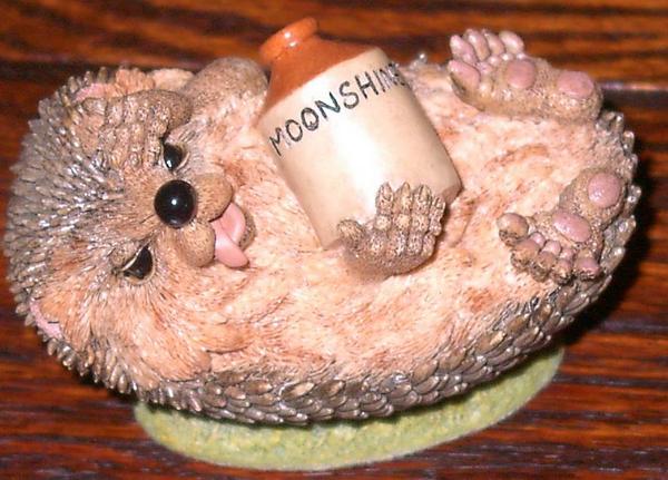 Мои Ежики (My hedgies)