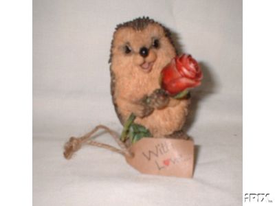 Мои Ежики (My hedgies)