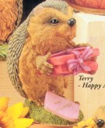 Мои Ежики (My hedgies)