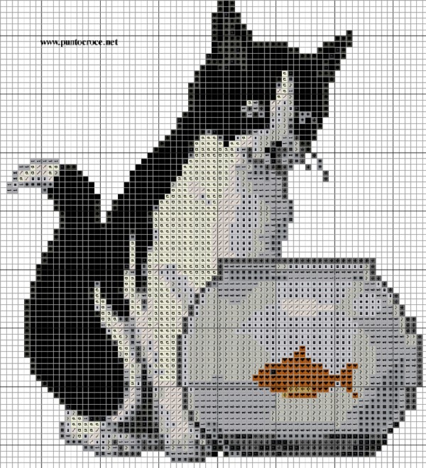 y.gatito p. Gato pecera