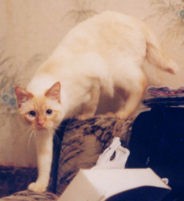 Персей. Фотки с удаленных рег