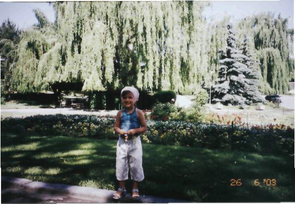 Огромные вербы и голубые ели... Новые фото. Иссык-Куль.