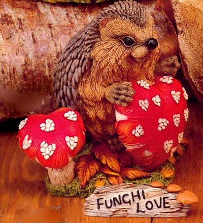 Мои Ежики (My hedgies)