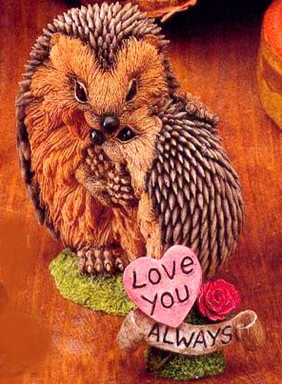 Мои Ежики (My hedgies)