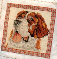 bm.Dogs 1. Los que tegno