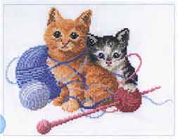 bt.Gatos. Los que tegno