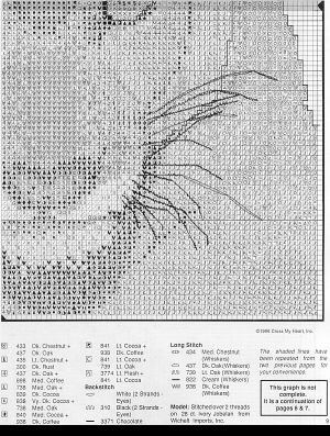 de.tigre,pantera p4. Tigre,Pantera