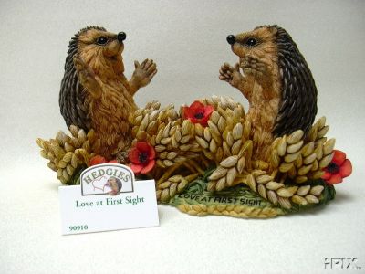 Мои Ежики (My hedgies)