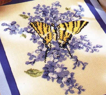 cm.Mariposa azul. Animales