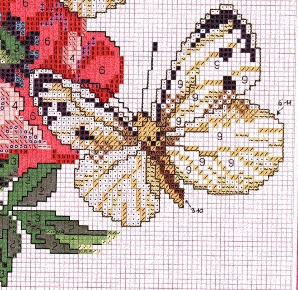 cn.Mariposa 3 p3. Mariposas