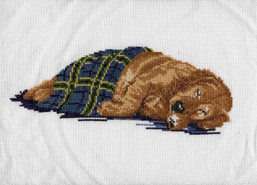 Кризис. Фотки с удаленных рег