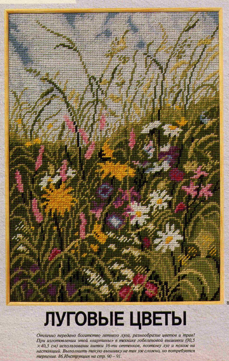 Луговые цветы. Фотки с удаленных рег