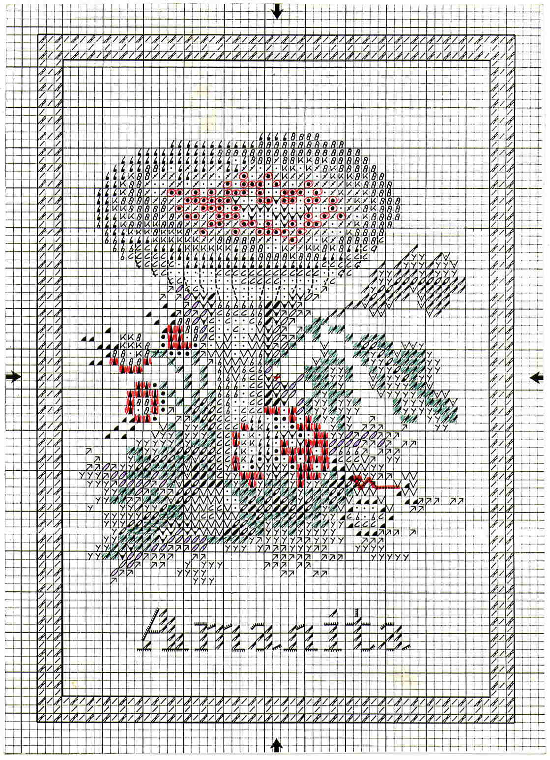 Amanita . Фотки с удаленных рег