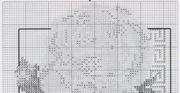 верх. 12. Розы 'Наивность'