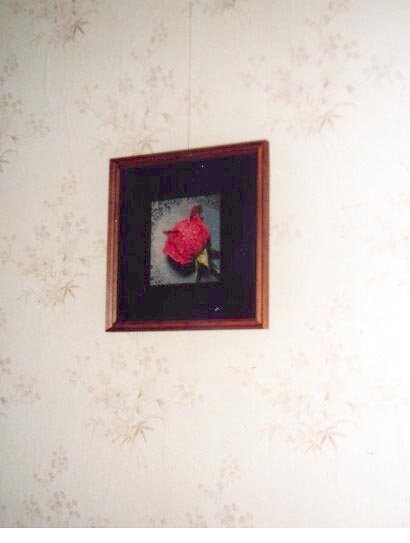  роза в рамке. МОИ РАБОТЫ