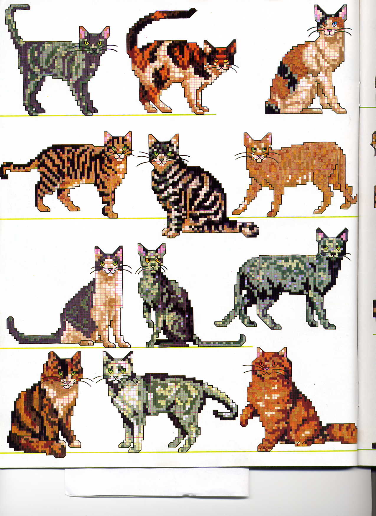 Фотки с удаленных рег