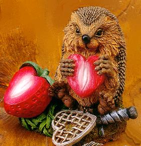 Game Set&Love. Мои Ежики (My hedgies)