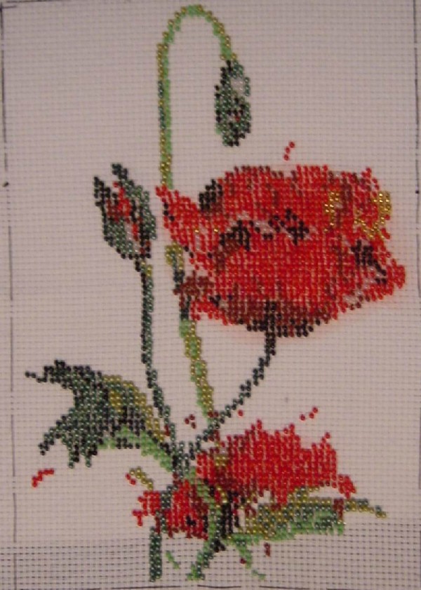 Маки. мои работы