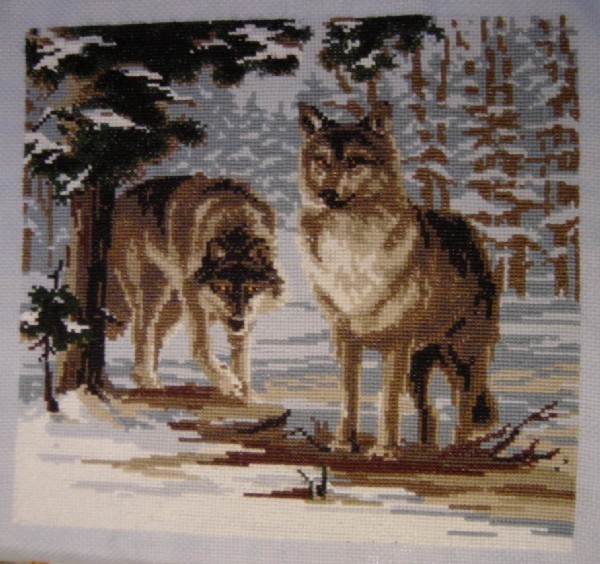 Волки. мои работы