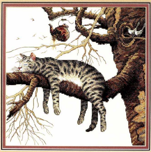 Oops ! (dimensions). Cats