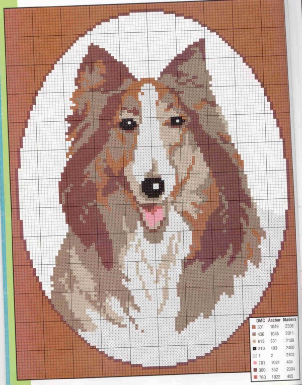 Colley (chart). Dogs