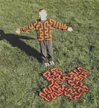 Из книги. Сокровища из интернета