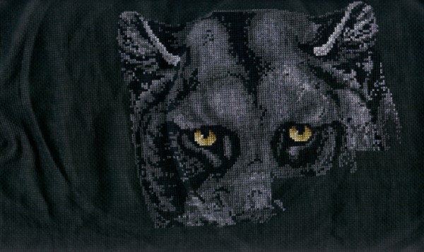 Кошечка. процессы