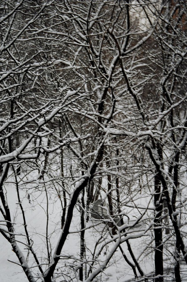 Вид с балкона. 