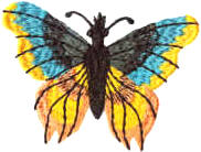 Вышивка и аппликация