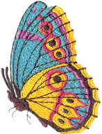 Вышивка и аппликация