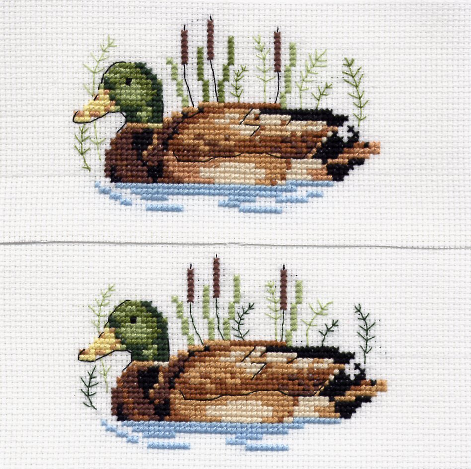 Утки. В_Животные (Fauna)