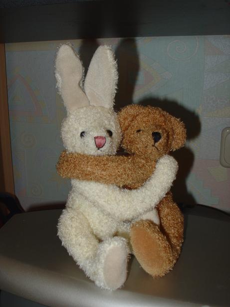 Неразлучник. Зайцы форева!