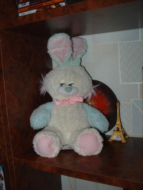 Валентин. Зайцы форева!