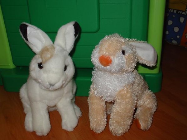 Беляк и Русак. Зайцы форева!