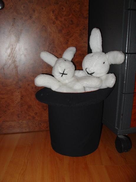 Пипин длинный и Пипин короткий. Зайцы форева!