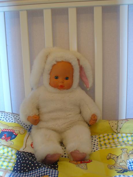 Костик. Зайцы форева!