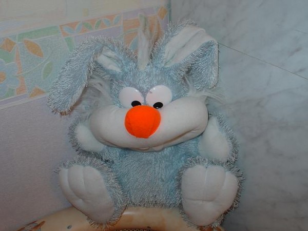 Фенси. Зайцы форева!